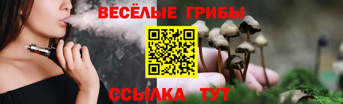 Псилоцибиновые грибы мицелий  Вход с VPN  купить   Березники 